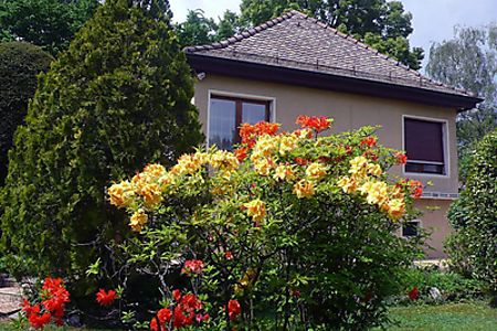 Ferienwohnungen Ferienhauser In Genf Mieten