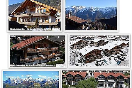 Ferienwohnungen Ferienhauser In Am Brienzersee Mieten
