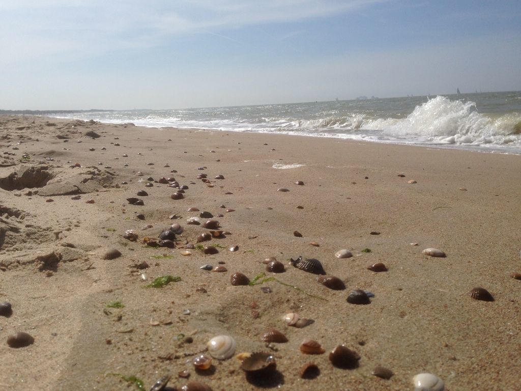 Komfortables Ferienhaus in Schoondijke mit Terrasse in Sasput für 6
