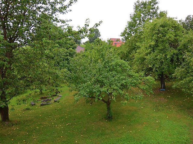 Gemütliches Ferienhaus in Perlesreut; waldnahe Lage für 18 Personen, 8