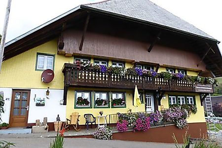 Ferienwohnungen Ferienhauser In Todtmoos Mieten