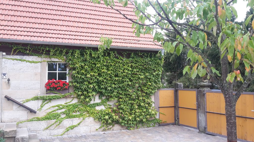 Ferienhaus im Fachwerkhof für 20 Personen bei tourist-online buchen