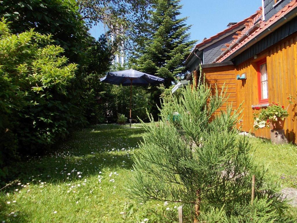 Ferienhaus für 5 Personen ca. 99 m² in Hahnenklee, Harz (Oberharz 