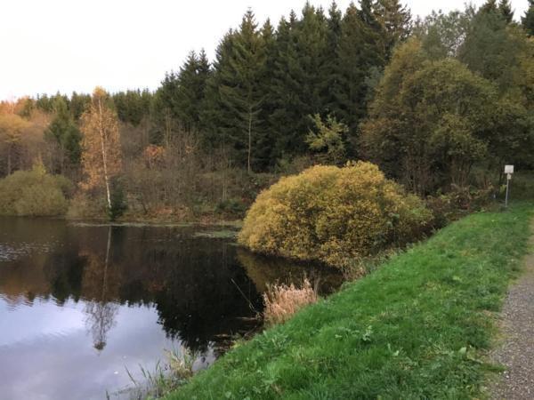 Ferienwohnung Elegantes 58 qm Ferienappartement für bis zu 6 