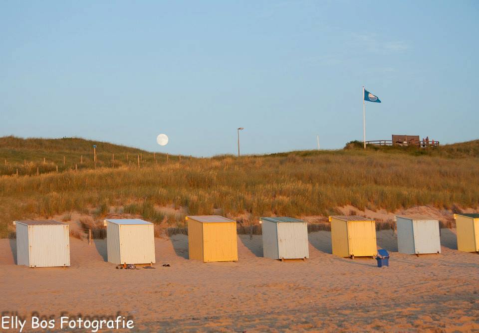 De Seinpost 9 und 6 Callantsoog bei tourist-online buchen - Nr. 8465701